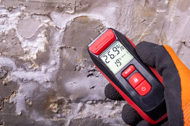 Best Mold Removal Near Me  in Harrington Park, NJ