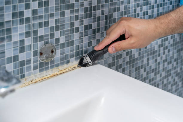 Best Local Mold Removal Service  in Harrington Park, NJ